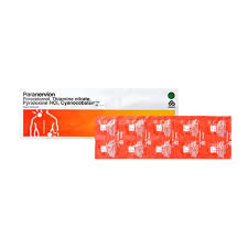 Paranervion kaplet 100's -