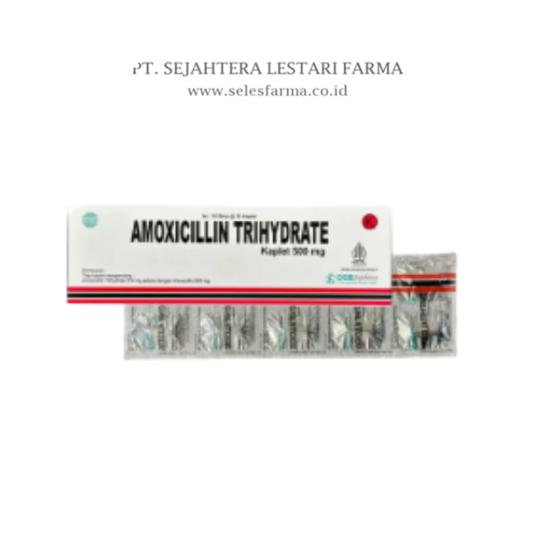 AMOXICILLIN 500MG