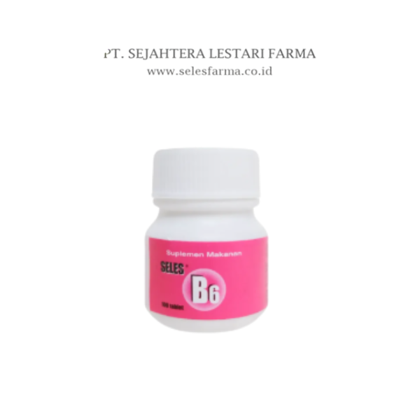 SELES B6 10 POT