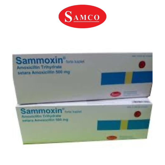 Sammoxin FK 500 mg