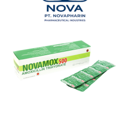NOVAMOX 500